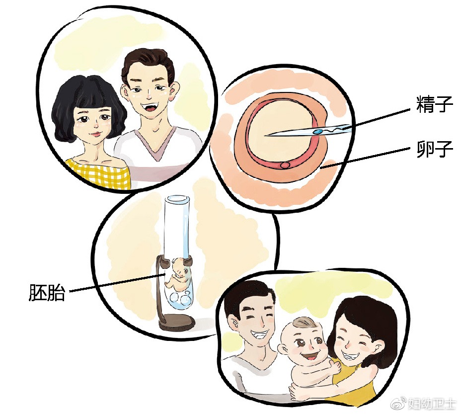 40岁以上试管婴儿成功率