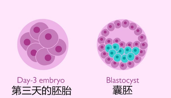 高龄备孕