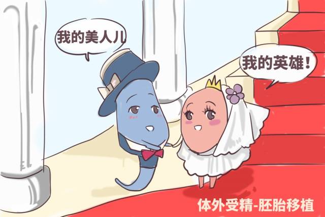 试管婴儿