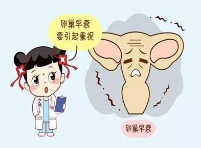 冷冻卵子