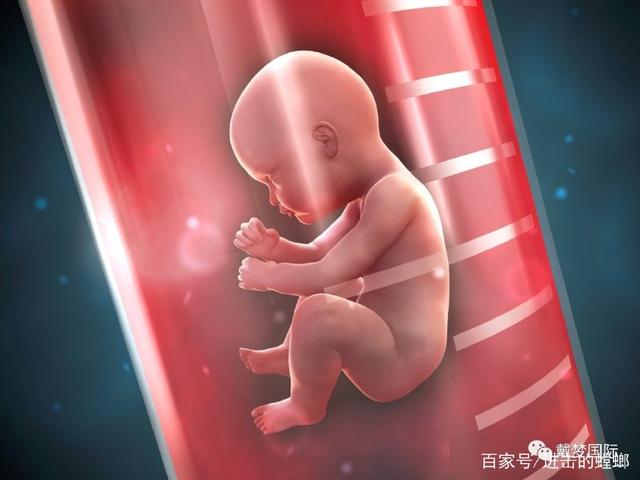 一代试管婴儿
