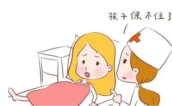 40岁捐卵试管婴儿成功率