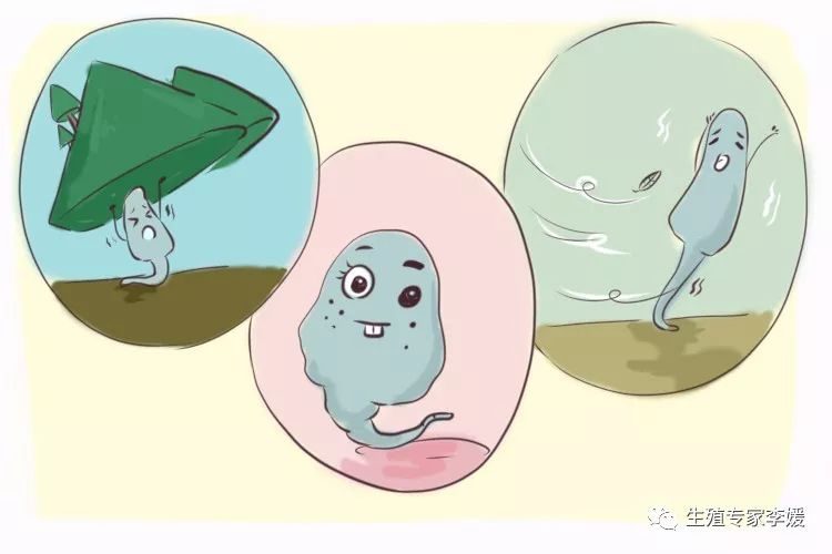 试管婴儿