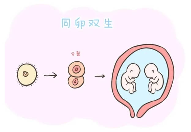 捐卵招聘